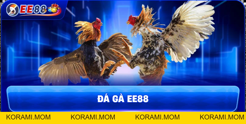 Đá Gà EE88 – Sân Chơi Kịch Tính Của Những Chiến Kê Hàng Đầu - korami.mom