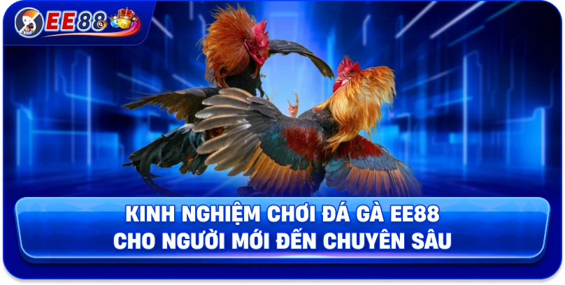 Đá Gà EE88 – Sân Chơi Kịch Tính Của Những Chiến Kê Hàng Đầu - korami.mom