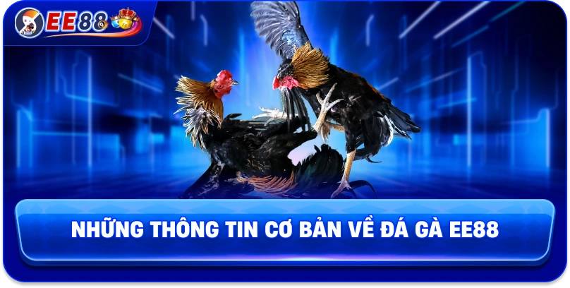 Đá Gà EE88 – Sân Chơi Kịch Tính Của Những Chiến Kê Hàng Đầu - korami.mom