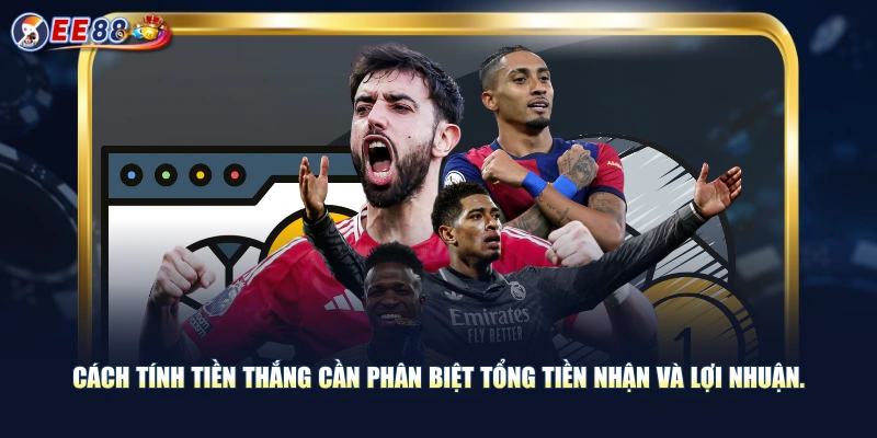 Giới Thiệu Kèo Châu Âu, Các Loại Hình Đặt Cược, Tính Tiền - korami.mom