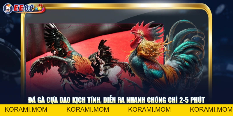Trải Nghiệm Đá Gà Cựa Dao Màn Tranh Tài Kịch Tính Mỗi Ngày - korami.mom