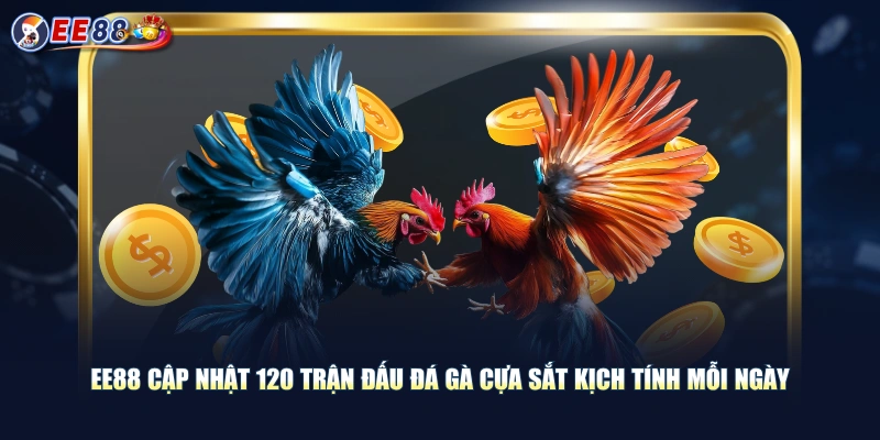 Theo Dõi Đá Gà Cựa Sắt Thỏa Đam Mê Cá Cược Nhận Thưởng Khủng - korami.mom