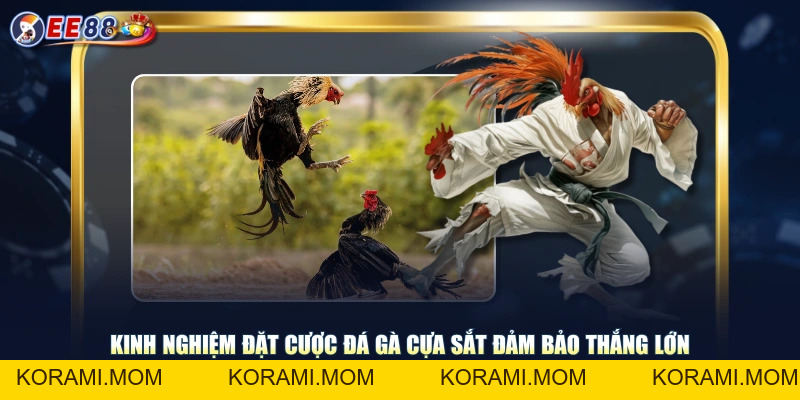 Theo Dõi Đá Gà Cựa Sắt Thỏa Đam Mê Cá Cược Nhận Thưởng Khủng - korami.mom