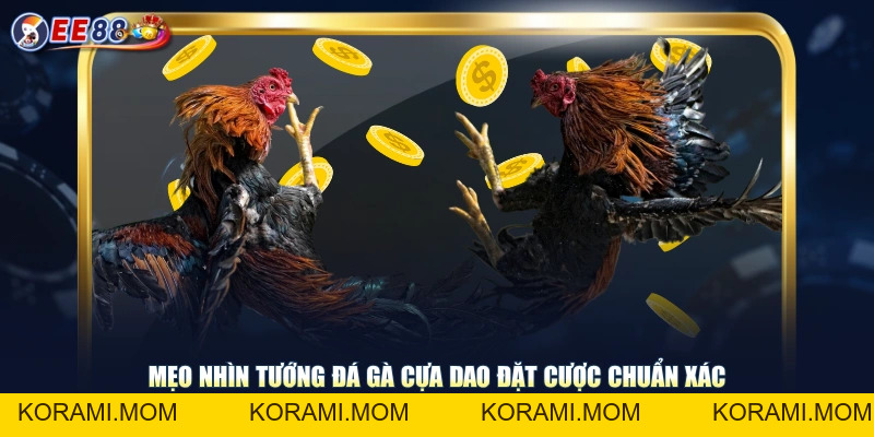 Trải Nghiệm Đá Gà Cựa Dao Màn Tranh Tài Kịch Tính Mỗi Ngày - korami.mom