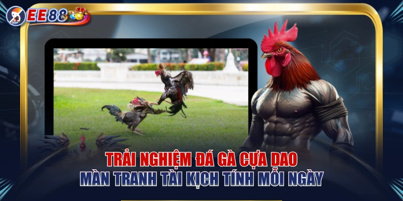 Đá Gà EE88 – Theo Dõi Trận Đấu Kịch Tính Trực Tuyến - korami.mom