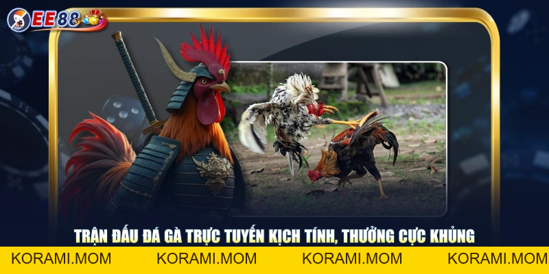 Theo Dõi Đá Gà Trực Tuyến Trận Đấu Đỉnh Cao Cực Kỳ Kịch Tính - korami.mom